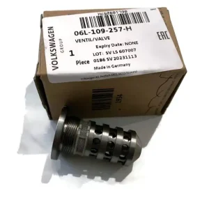 Camshaft phasing valve screw 2.0 TSI TFSI VW AUDI SEAT SKODA Nowość