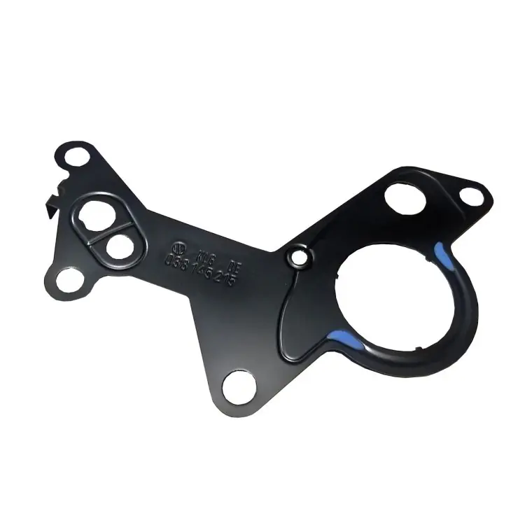 Oryginalny Vacuum pump main gasket seal