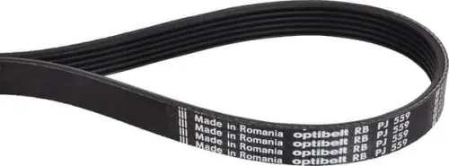 Pas wielorowkowy Optibelt, 6PJ559 6PJ559 Rabat