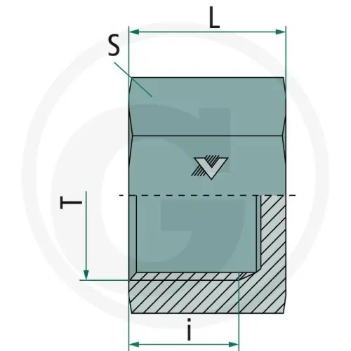 Tani PH SKKA BSPP-f 1,1/4 VA 60904261