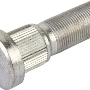 Szpilka koła Tylko dziś