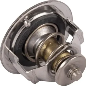 Termostat 1C01173013 Tani