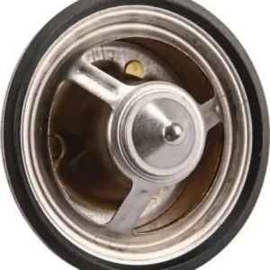 Termostat OEM Kup teraz