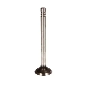 Zawór wydechowy Oferta