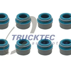 Zwrot pieniędzy USZCZELNIACZ ZAWOROWY DB