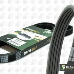 Wysoka jakość PASEK WIELOROWKOWY