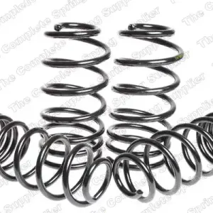 SPORT SPRINGS VOLKSWAGEN BEETLE 1.8 T / 1.9 TDI / 2.0 CABRIOLET 03- Najlepsza cena