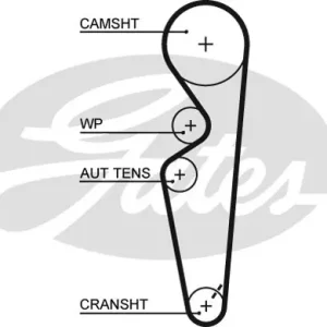 Popularny PASEK ROZRZĄDU FIAT LANCIA (134)