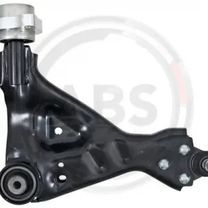 Tani WAHACZ MERCEDES  P