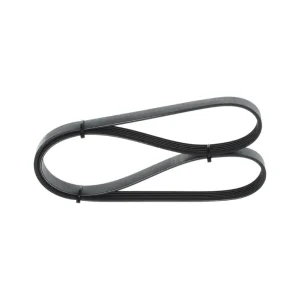 PASEK KLINOWY WIELOROWKOWY Tani